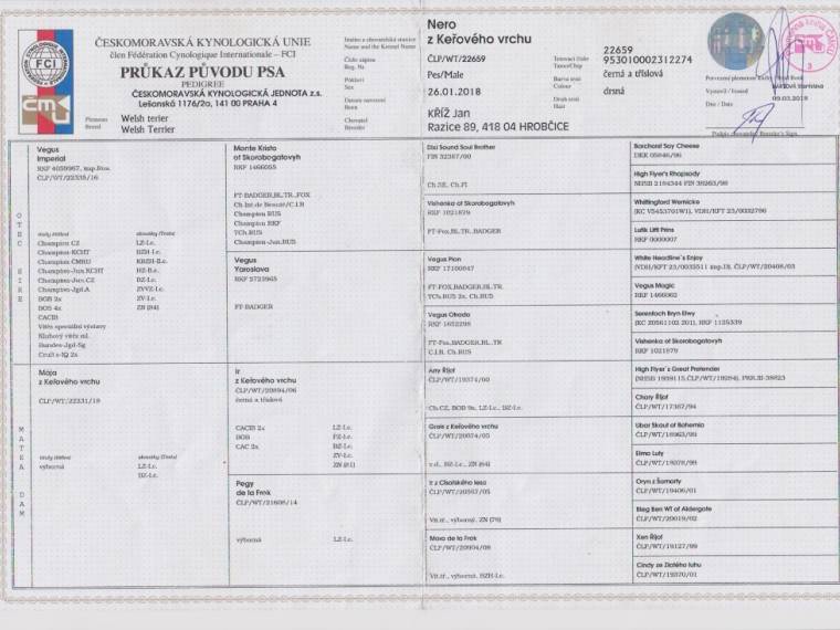 Nero z Keřového vrchu