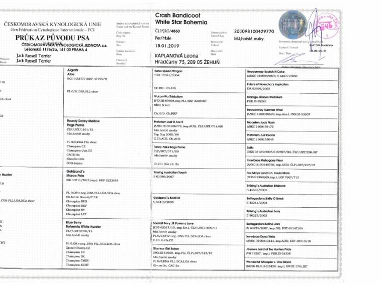 Crash Bandicoot White Star Bohemia