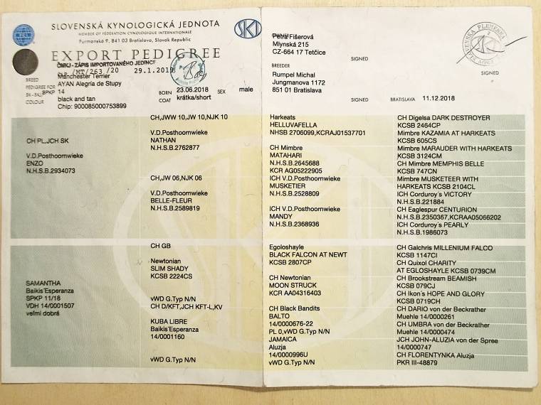 Ayan Alegría de Stupy