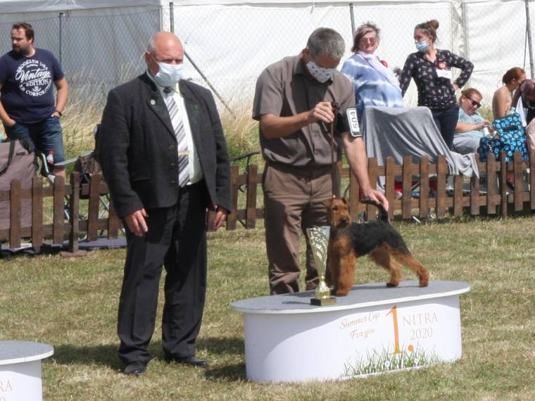 Anabell Žanetino srdce