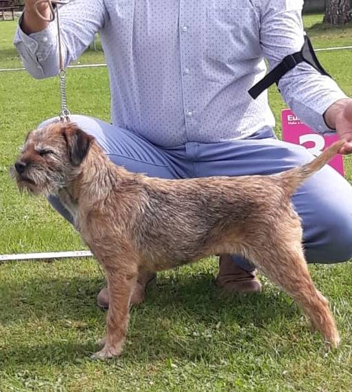 Lespoir du Grand Babin