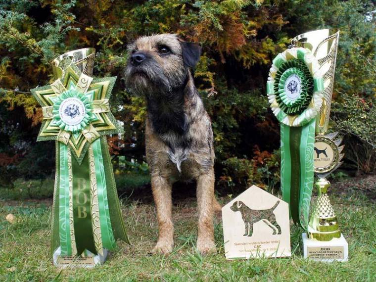 Quirin z Bukovských lesů