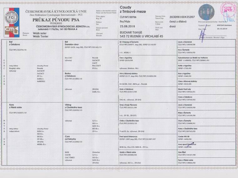 Coudy z Trnkové meze