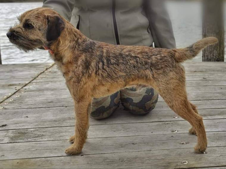 Chester Beni Ketinela