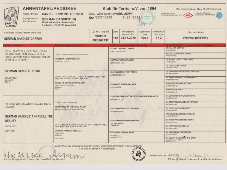 German Dandies' Darwin