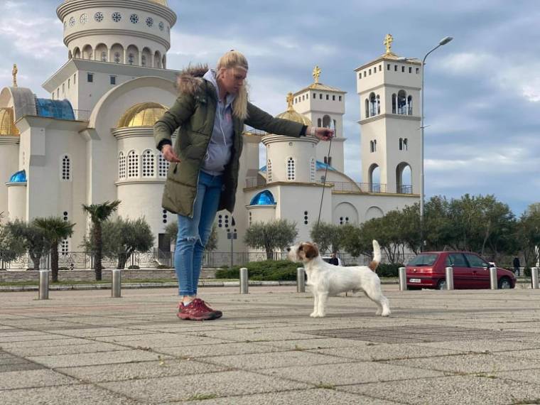 Crash Bandicoot White Star Bohemia