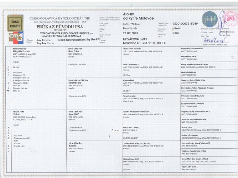 Aloisia od Rytíře Malovce