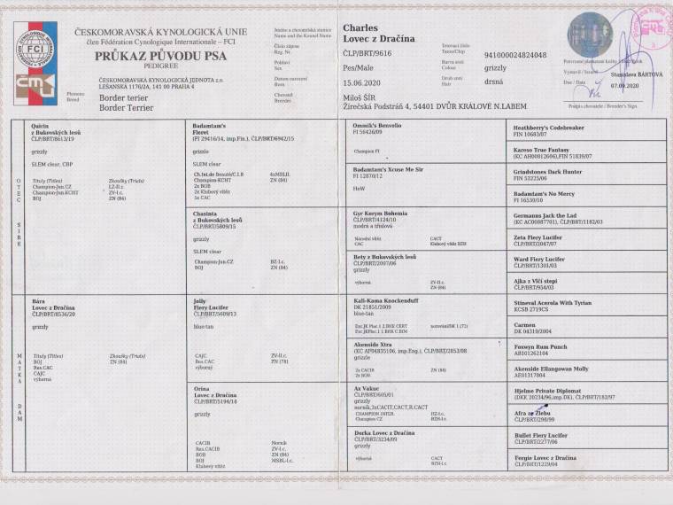 Charles Lovec z Dračína