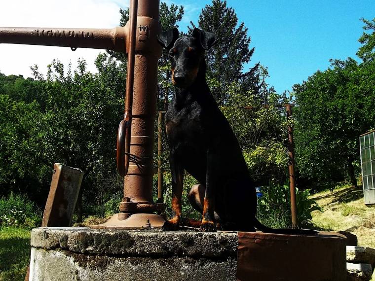 Ayan Alegría de Stupy