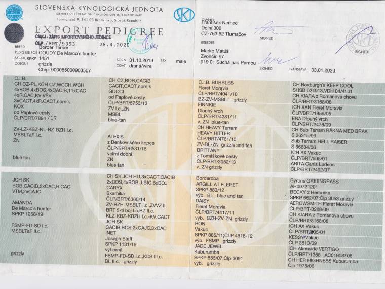 Coudy De Marco's Hunter