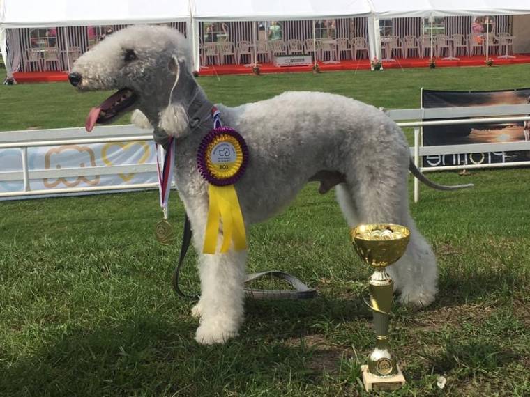 Isaac Slovanský Perun