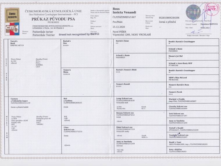 Boss Invicta Venandi