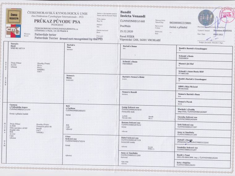 Bandit Invicta Venandi