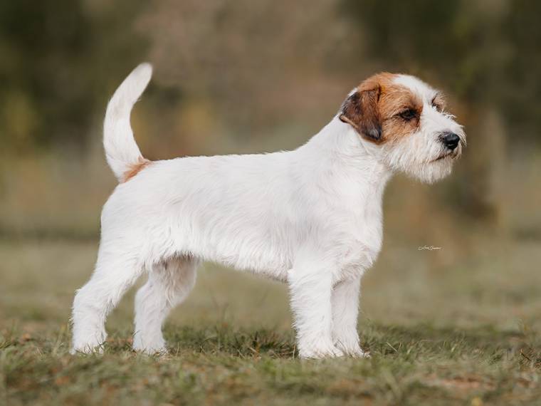 Fifth Element Bohemia Point