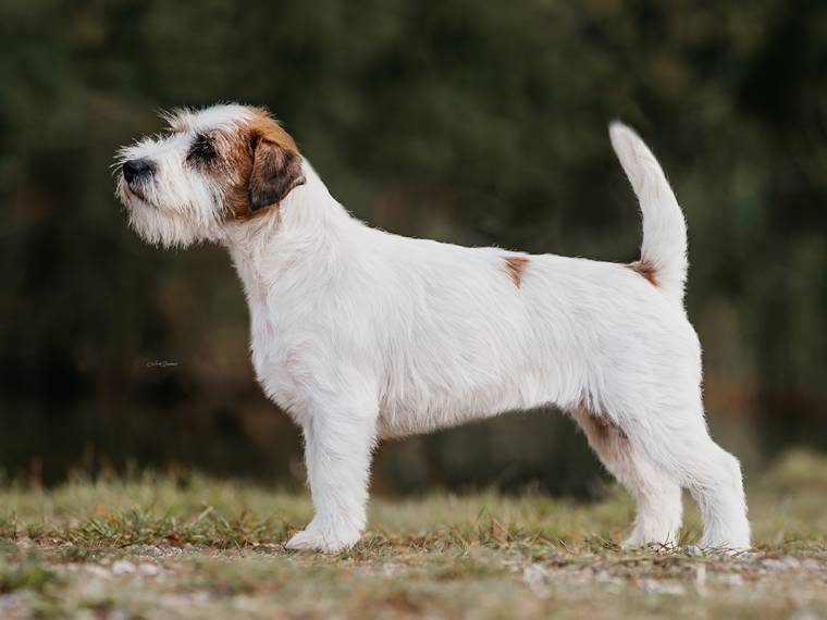 Fifth Element Bohemia Point