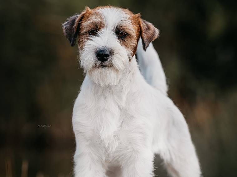 Fifth Element Bohemia Point