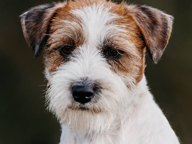 Fifth Element Bohemia Point