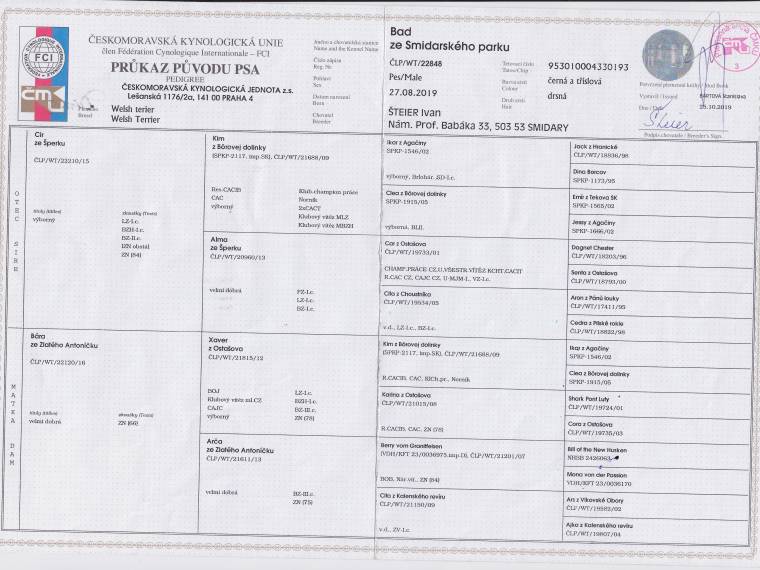 Bad ze Smidarského parku