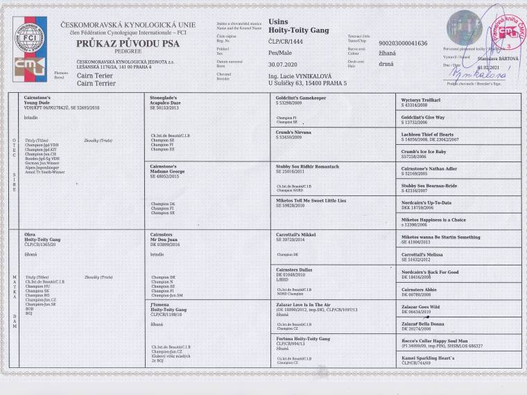 Usins Hoity-Toity Gang