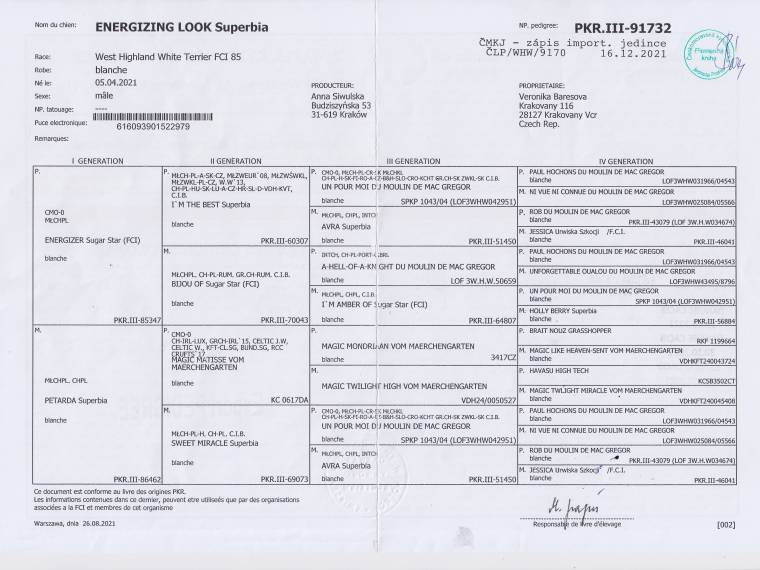 Energizing Look Superbia