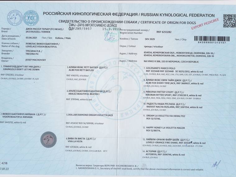 Vision Beautiful Lovelace