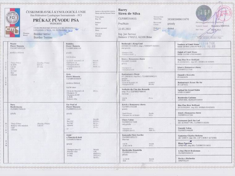 Barry Siren de Silva