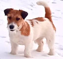 Baby Čiky Chlupaté srdce