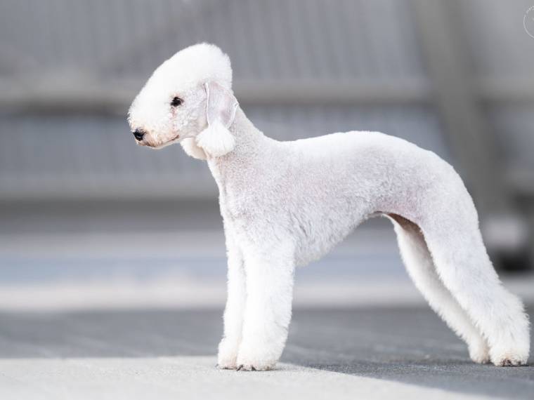 You Look at Me Mushanga