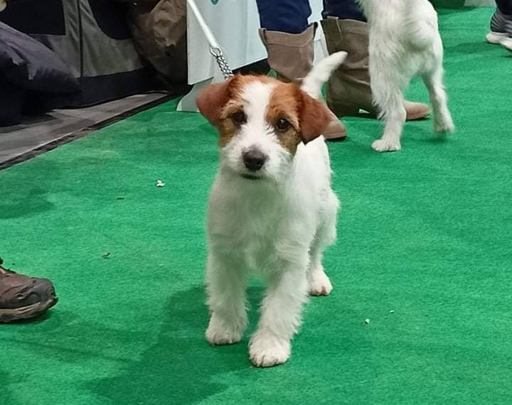 Ylang od Bobří řeky