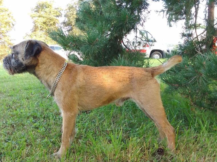 Charles Lovec z Dračína