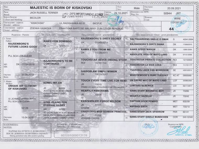 Majestic Is Born of Kiskovski