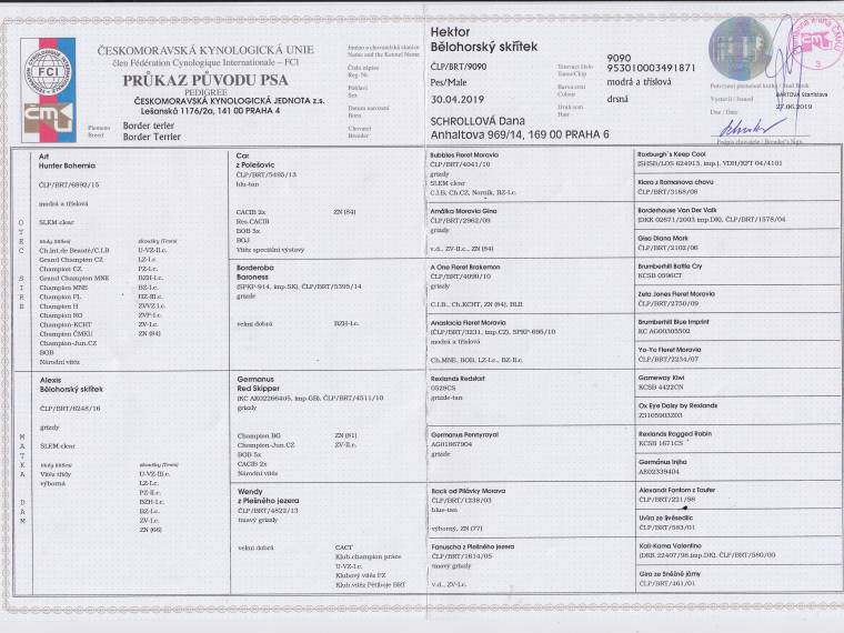 Hektor Bělohorský skřítek