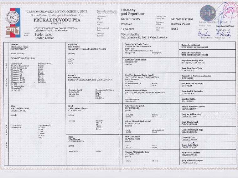 Diamany pod Peperkem