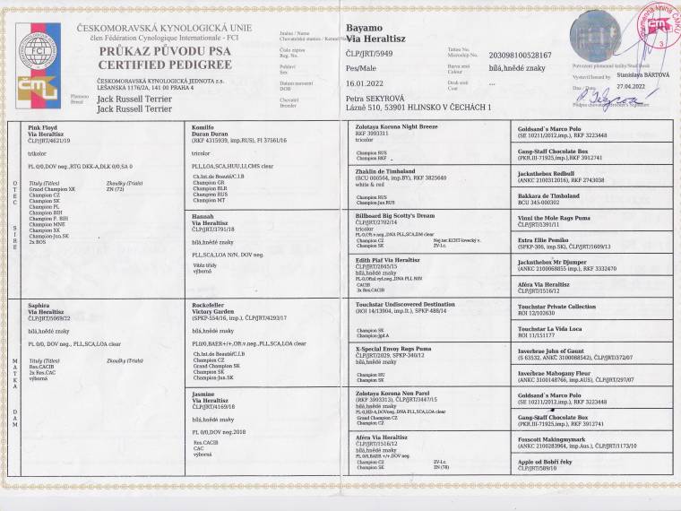 Bayamo Via Heraltisz