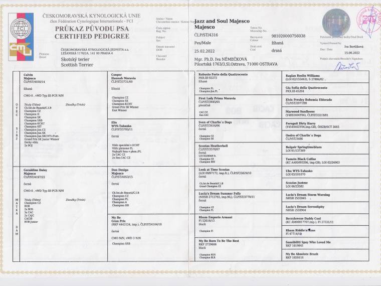 Jazz and Soul Majesco 