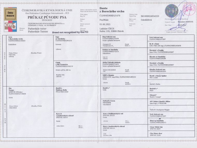 Dante z Boreckého vrchu