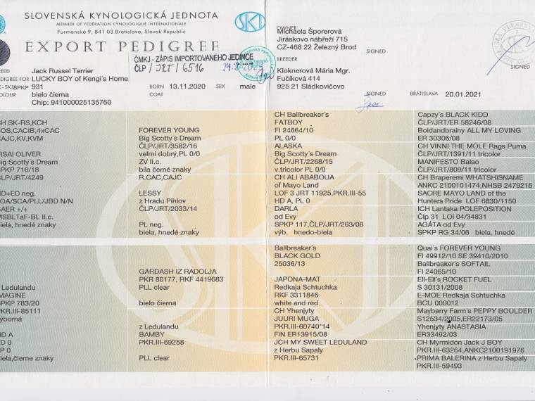 Lucky Boy Kengi's Home