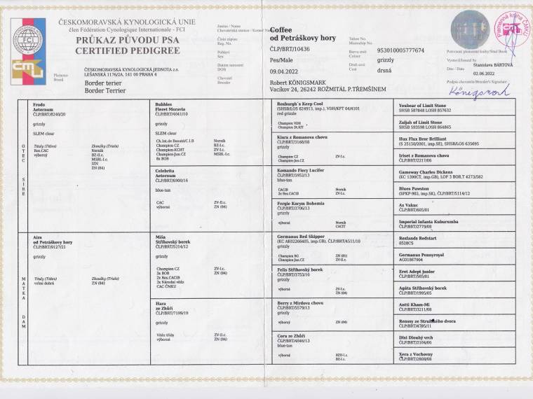 Coffee od Petráškovy hory