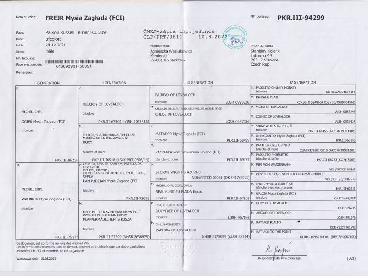 Frejr Mysia Zaglada (FCI)