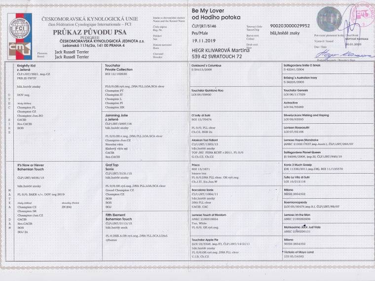 Be My Lover od Hadího potoka