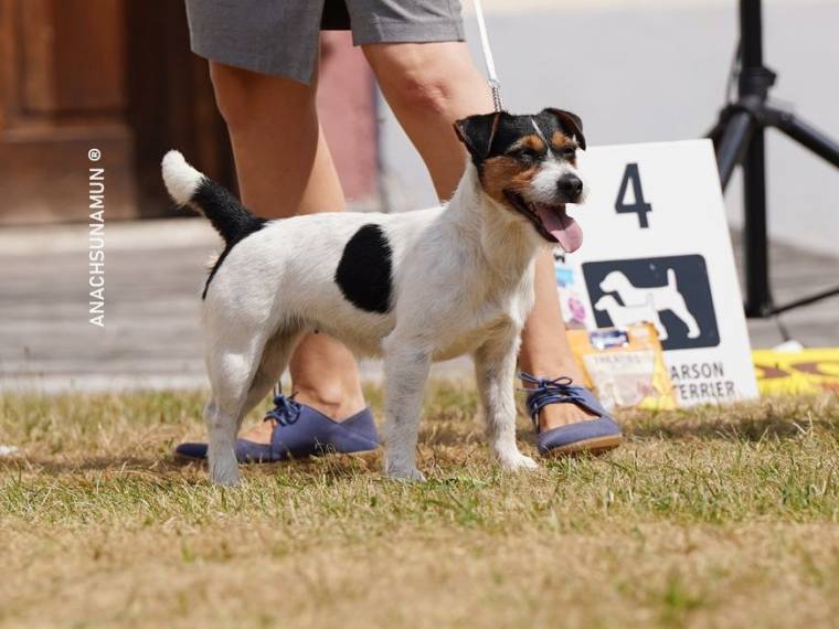 Bernie od Vrchu Kamýk