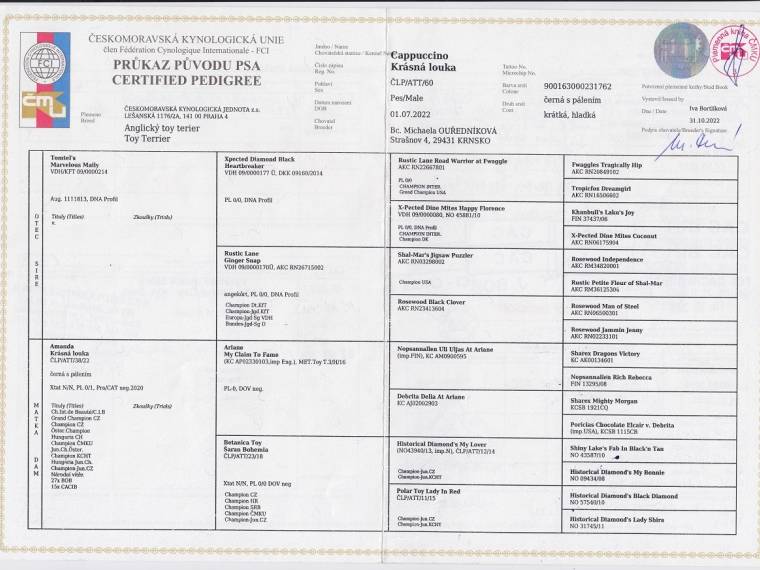 Cappuccino Krásná louka