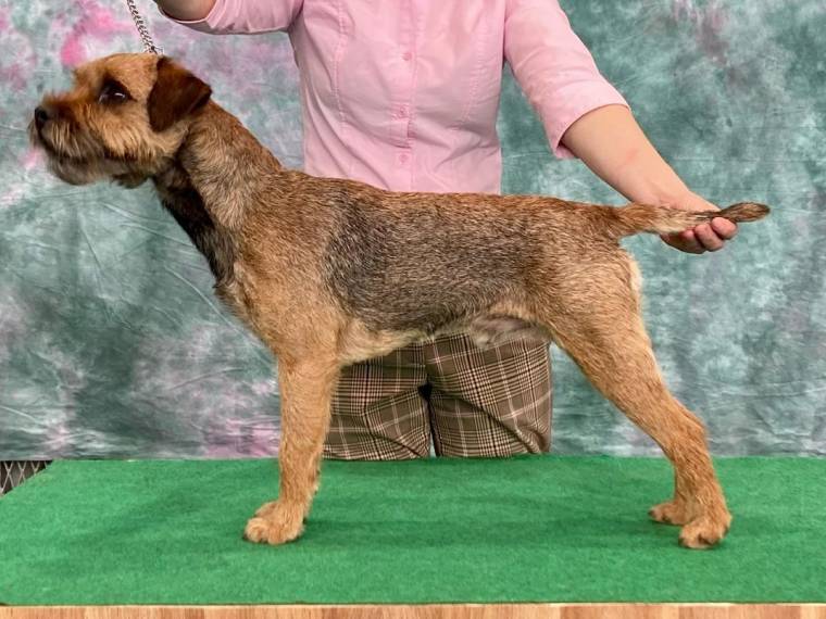 Coffee od Petráškovy hory