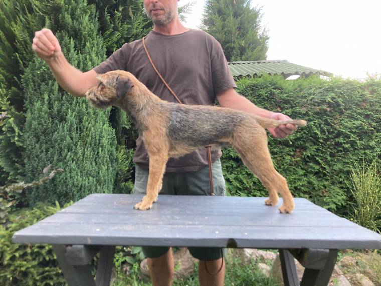 Coffee od Petráškovy hory