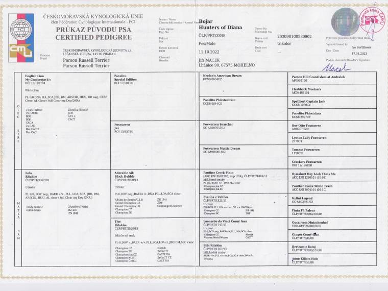 Bojar Hunters of Diana