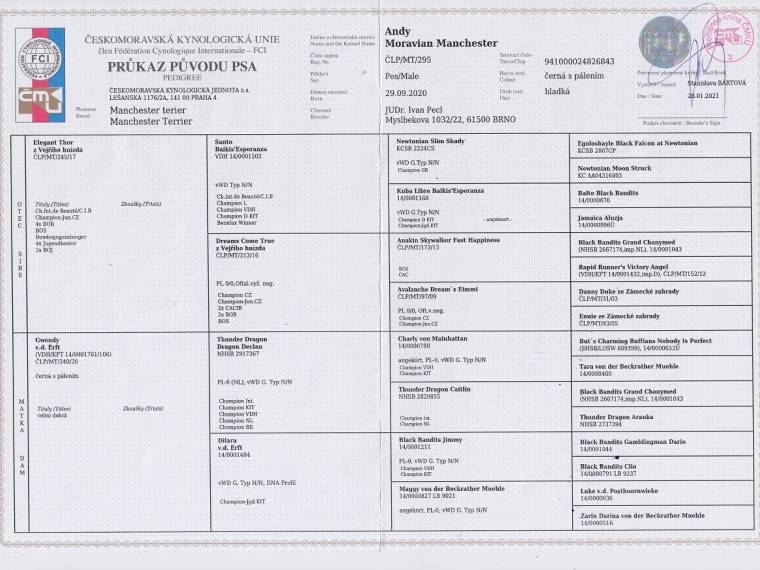 Andy Moravian Manchester