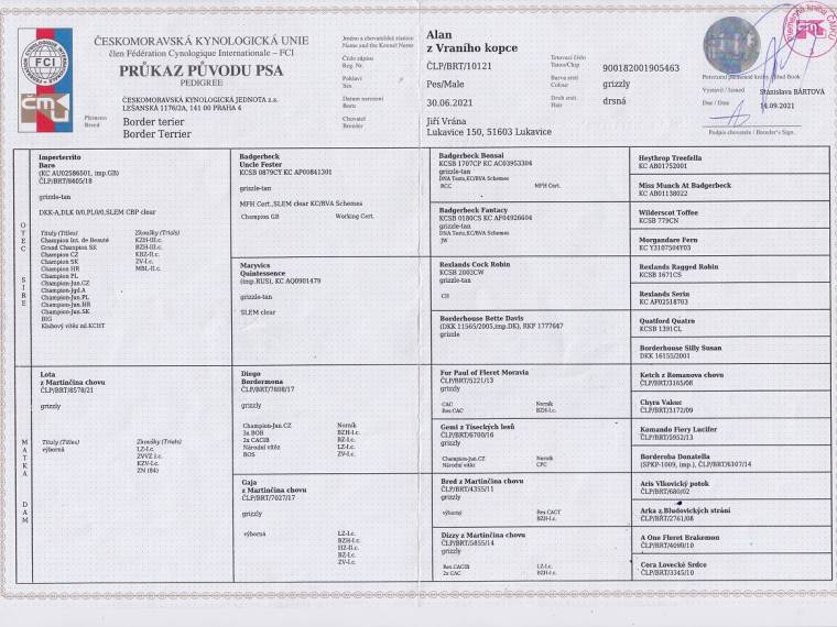 Alan z Vraního kopce