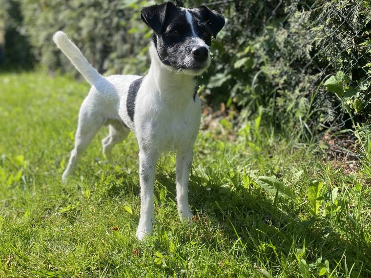 Christian Grey Black Bubble