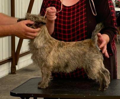 Ginette Hoity-Toity Gang