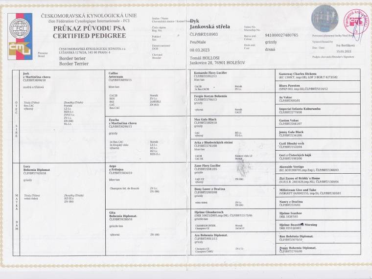 Dyk Jankovská střela